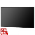 50型パブリックディスプレイ/3840×2160/DisplayPort、HDMI/ブラック/スピーカ/〔3年保証〕