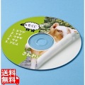 インクジェットDVD/CDラベル(つやなしマット) 写真1