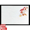 四季紙 千寿(100枚入)M30-211 柿 写真1
