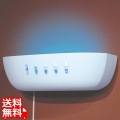 飛来昆虫捕虫器 虫ピタ虫V(ファイブ) (屋内用) 写真1