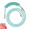 HyperX USB-C コイルケーブル (ライトグリーン/ホワイト) 写真1