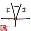 BT-050K 5点式シートベルト ブラウン ( 745UA009 )