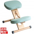 プロポーションチェア CH-N88W ナチュラルライトグリーン 写真1
