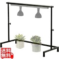 ビザールプランツライトスタンド LPS-800-BK 観葉植物 植物育成ライト 多肉植物 棚 ライト 台 フラワースタンド プランタースタンド 塊根植物 室内 写真1