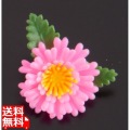 プリティフラワー ミニ菊ピンク・ツートン (400入) 写真1