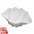 シャコ貝 ホワイト M プラスチック 写真1