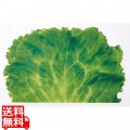 ミリオンフィルムシート(1000枚入)レタス 写真1