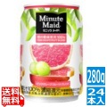 ミニッツメイドピンク・グレープフルーツ・ブレンド 280g缶 (24本入) 写真1
