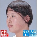 パル ヘアーネット(100枚入) T20664 Lサイズ 写真1