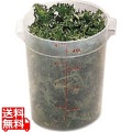 丸型フードコンテナー半透明RFS18PP