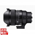 15mm F1.4 DG DN DIAGONAL FISHEYE Art ソニーE