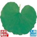 型抜きクリアシート(200枚入)65365 ふき 写真1