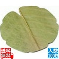 干朴葉懐敷(緑)100枚入 25995 丸型(小) 業務用 写真1