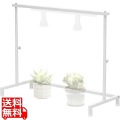 ビザールプランツウォールラック LPW-2100-WH ホワイト 観葉植物 植物育成ライト 植物スタンド 壁掛け スチールラック 観葉植物棚 吊り下げ レール 多肉植物 写真1