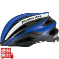 レッツア・2 G-1マットブルー(M/L) ( REZZA-2 ) 写真1