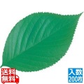 型抜きクリアシート(200枚入)65787 木の葉 写真1