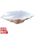 オーブンウェアー シェル皿 PC180-33 カラー 写真1