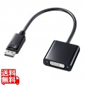 DisplayPort-DVI変換アダプタ 写真1