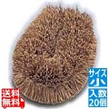 かもめタワシ(20ヶ入) 小 写真1