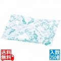 保冷剤 アイスパック ミニ(250入) 写真1