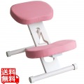 プロポーションチェア CH-N88W ホワイトピンク 写真1