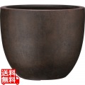 バンドール ラウンド550 ブロンズ