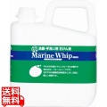 手洗い用石けん液 マリンホイップ 23489 写真1