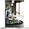 イベント オーバルプラター14 9322214 写真2