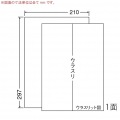 エコロジー再生紙ラベル 210mm×297mm A4版 210mm×297mm 500シート(100シート×5) 写真2