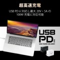 USB4ケーブル タイプC Type-C-TypeC 認証品 0.8m 認証品 40Gbps 充電 データ転送 高速 USB PD 対応 RoHS指令準拠 ( 10物質 ) ホワイト 写真2
