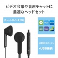 ヘッドセット イヤホン インナーイヤー USB 両耳 セミオープン ミュートスイッチ付き インラインコントローラー ブラック 写真2