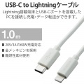 ライトニングケーブル Type-C-Lightning 1m シルバー 写真2