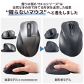 静音 2.4GHz無線マウス ”EX-G”5ボタン Lサイズ 写真2