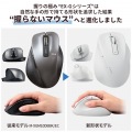 静音 2.4GHz無線マウス ”EX-G”5ボタン Lサイズ 写真2