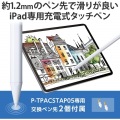 タッチペン/スタイラス/充電式/iPad専用/パームリジェクション対応/磁気吸着/USB-C充電/ペン先交換可能/ホワイト 写真2