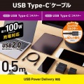 USB2.0ケーブル(C-C、100W対応) 写真2