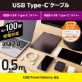 USB2.0ケーブル(C-C、100W対応) 写真2