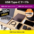 USB2.0ケーブル(C-C、100W対応) 写真2