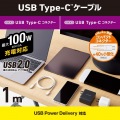 USB2.0ケーブル(C-C、100W対応) 写真2