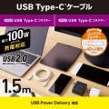 USB2.0ケーブル(C-C、100W対応) 写真2