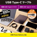 USB2.0ケーブル(C-C、100W対応) 写真2