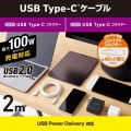USB2.0ケーブル(C-C、100W対応) 写真2