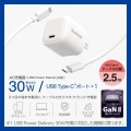 USB Power Delivery 30W AC充電器(C-Cケーブル付属/2.5m) 写真2