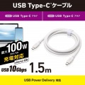 USB 10Gbpsケーブル(USB Type-C - USB Type-C/100W対応) 写真2