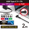 ノートPC用充電ケーブル(USB Type-C/DC5.5mmコネクター/100W) 写真2