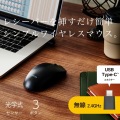 マウス/無線2.4GHz/Type-Cプラグ/Lサイズ/3ボタン/左右対称/ブラック 写真2