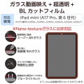 iPad mini(A17 Pro) ガラスフィルム 動画映え 高透明 BLカットガイド付 写真2