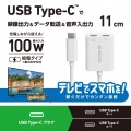 USB Type-C(TM)変換アダプター 2ポート/PD充電付き 写真2