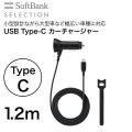 USB Type-C カーチャージャー SB-DC07-SPST 写真2
