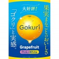 サントリー Gokuri グレープフルーツ ピンク & ホワイト 400g ボトル缶 24缶入り 1ケース 果実まるごとのおいしさ FGG4T 写真2